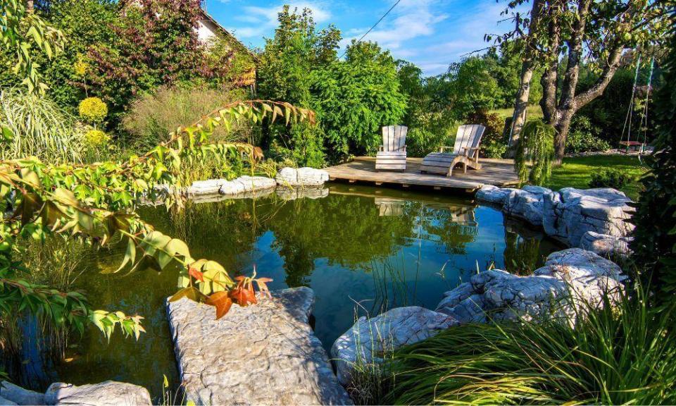 Keep Your Garden Pond Clean With Advanced Filtration Systems