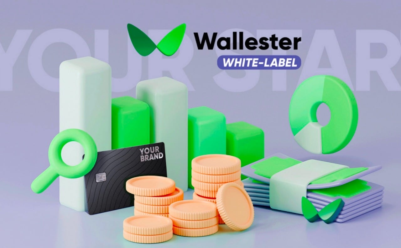 Wallester: The Smart and Secure Payment Solution for Modern Businesses